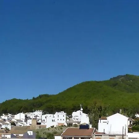 El Pinar *